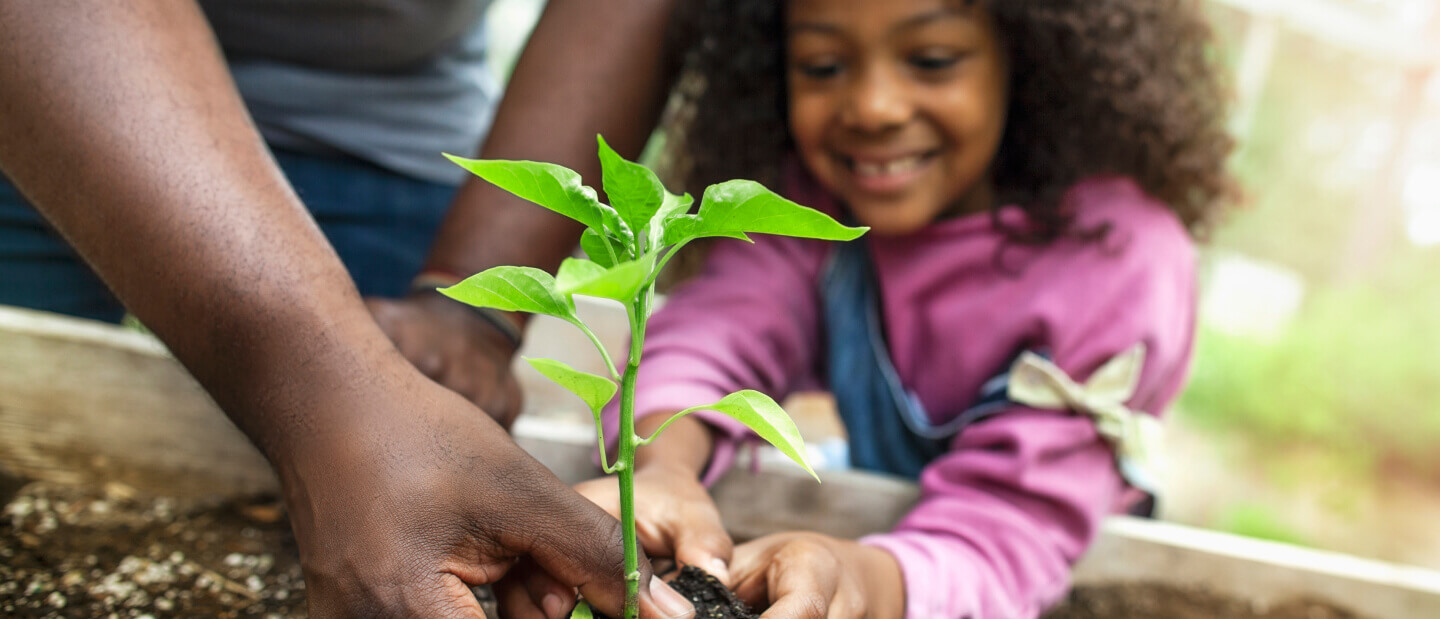 young girl planting a tree