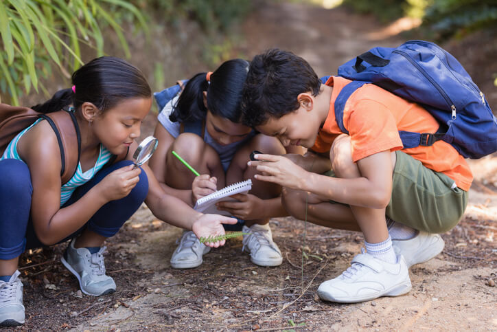 Einsatz digitaler Tafeln in den Naturwissenschaften - Eine Gruppe von Schulkindern erkundet den Schulgarten MINT