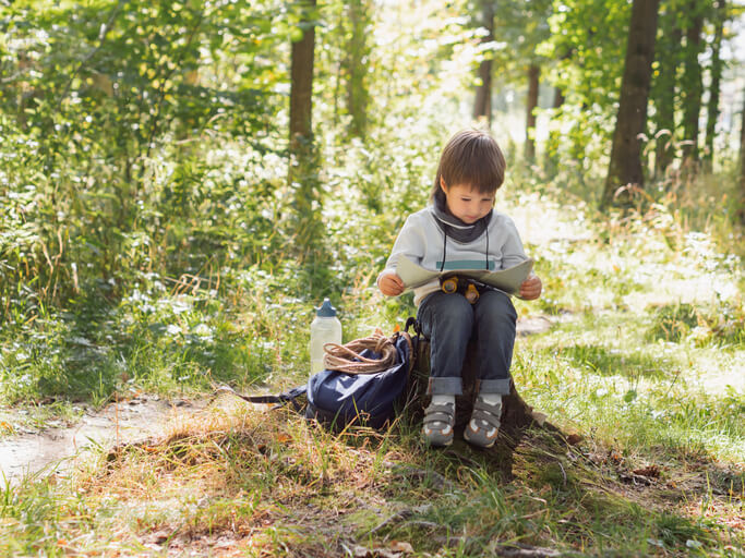 summer learning activities for elementary students